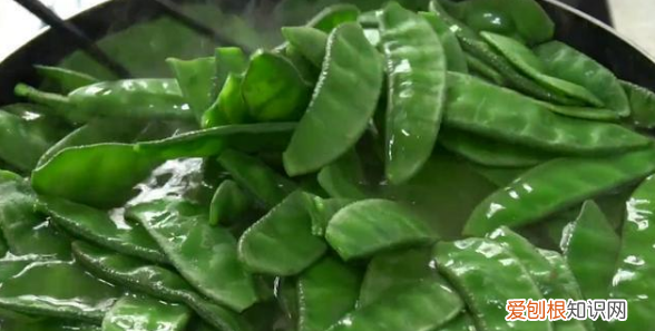 梅豆角的做法，炒梅豆角的家常做法大全