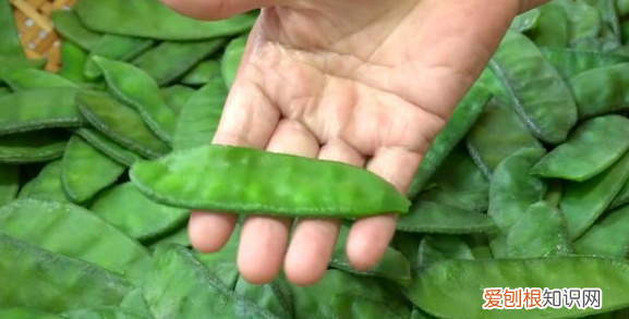 梅豆角的做法，炒梅豆角的家常做法大全