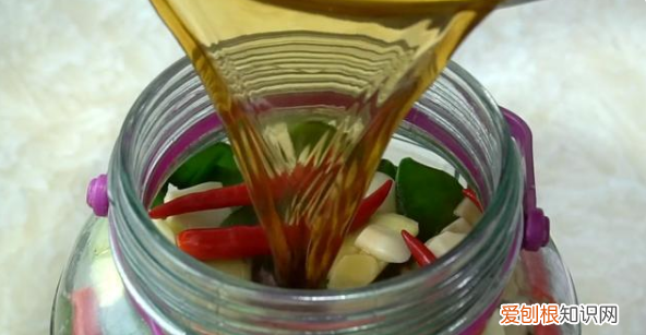 梅豆角的做法，炒梅豆角的家常做法大全