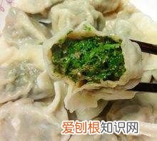 木须野菜能包饺子，苜蓿饺子馅做法大全视频