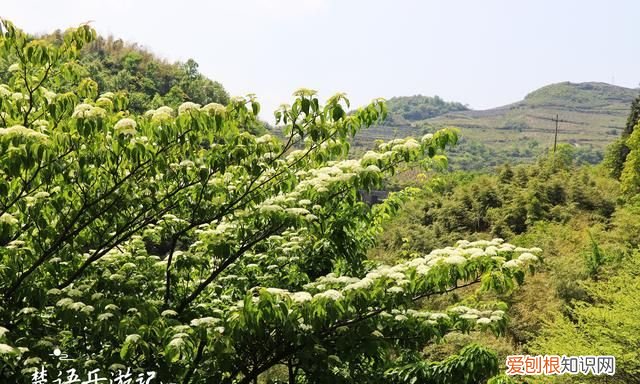 宁波溪口旅游景点推荐 宁波附近一日游古村最佳去处