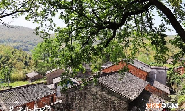 宁波溪口旅游景点推荐 宁波附近一日游古村最佳去处