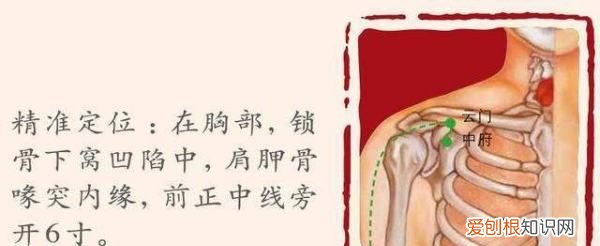 中府穴的准确位置与作用，云门和中府简单找法视频图