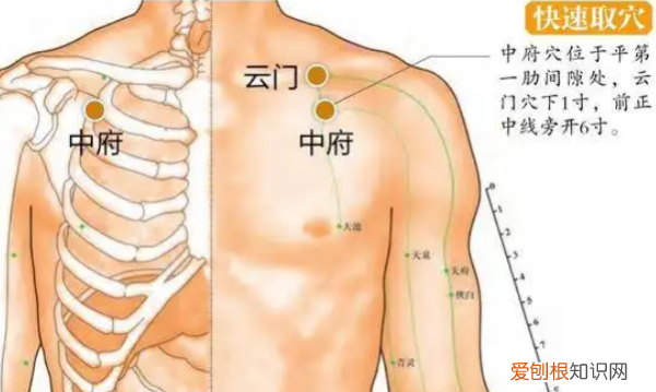 中府穴的准确位置与作用，云门和中府简单找法视频图