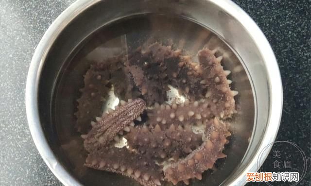 半干海参泡发的正确方法和步骤,半干海参泡发正确方法