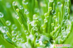 2023年谷雨后一天是黄道吉日吗 谷雨后几天是土旺日