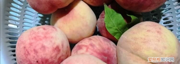 桃子切开后能放多久,桃子冷藏能放多长时间
