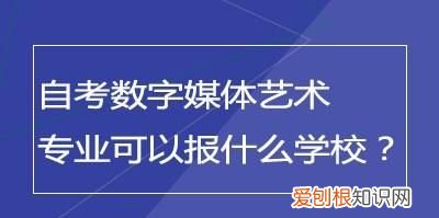 数字媒体艺术要考什么证，自考数字媒体艺术本科要考什么科目