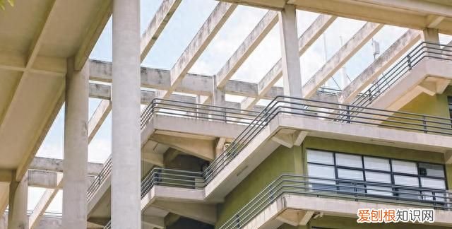 2021广东省前十名大学排名 广东省全部大学排名