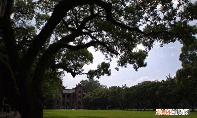 2021广东省前十名大学排名 广东省全部大学排名