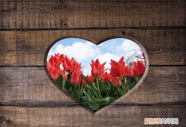 人生需要面对挫折的经典语录,励志经典语录挫折会来也会过去