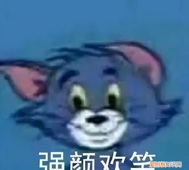 北京 野蛮生长教育咨询有限公司