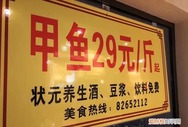 甲鱼顶级做法 五星级大厨做甲鱼汤