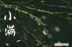 2023年小满是几月几号 2023年小满时间几点几分几秒