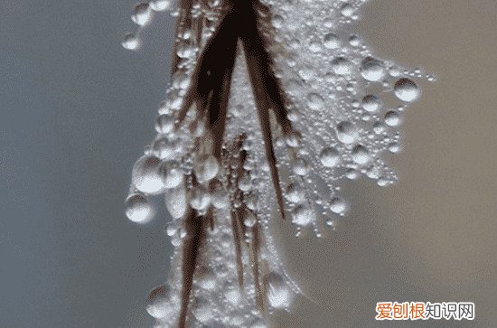 2023年谷雨是哪一天几点几分 2023年谷雨具体时间