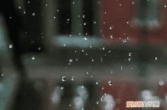 2023年谷雨是几月几号几点几分 2023年谷雨是什么时候开始