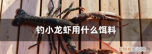 用什么钓小龙虾，小龙虾拿什么钓最好
