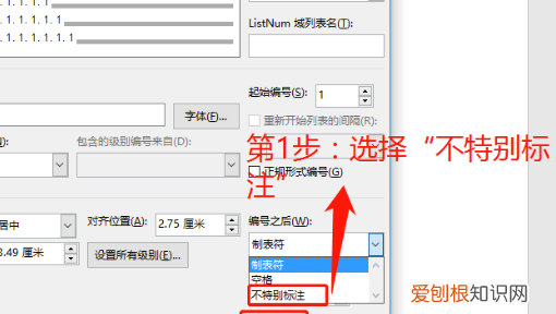 文档中的编号及编号格式如何设置