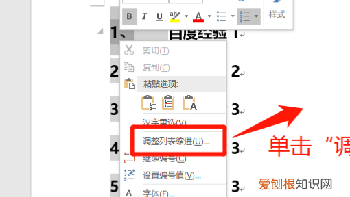 文档中的编号及编号格式如何设置