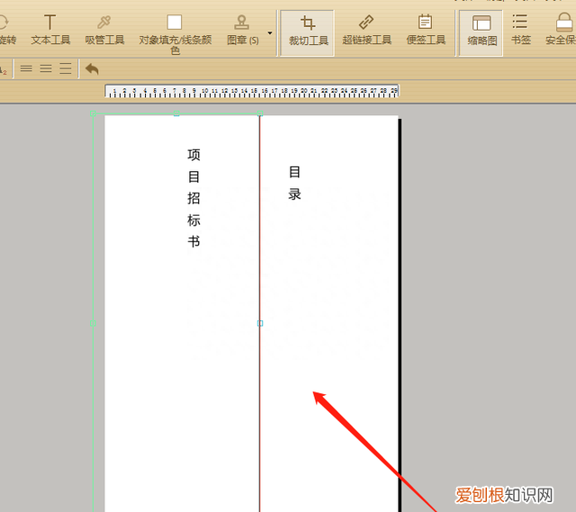 pdf怎么把a3页面裁剪成a4