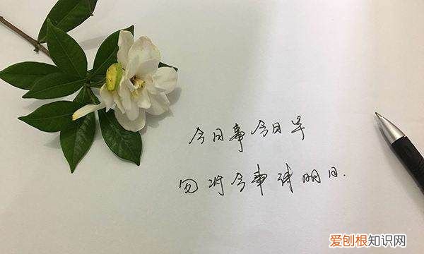 今日事今日毕出自哪里,今日事今日毕的下一句是什么