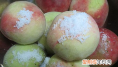 如何在家制作桃罐头，自制桃罐头的详细做法