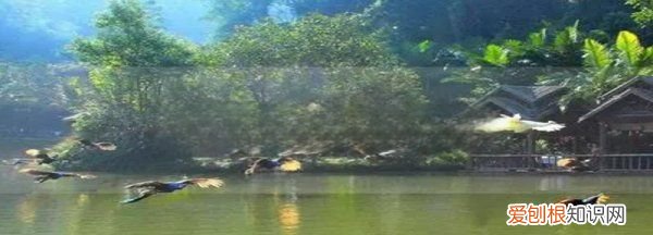 西双版纳海拔多少米高,南咖巴雅峰海拔多少米高