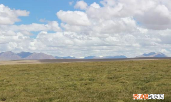 西双版纳海拔多少米高,南咖巴雅峰海拔多少米高