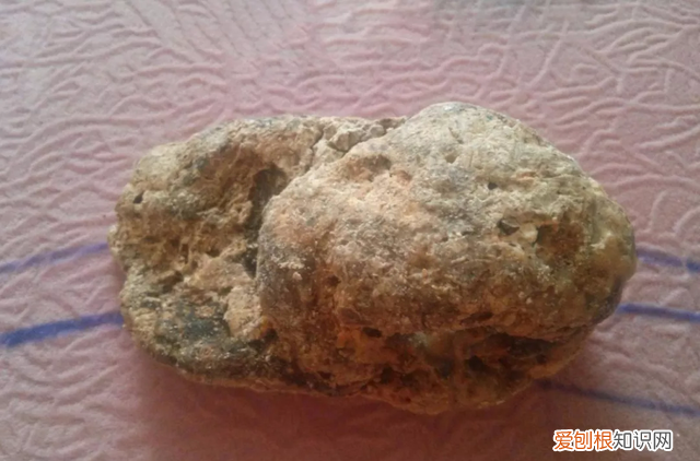 龙涎香是什么为何如此名贵,名贵香料龙涎香