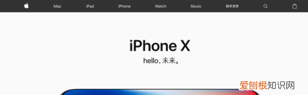 ipad id密码忘记了怎么办