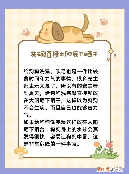 夏天给狗洗澡注意什么，给狗狗洗澡的时间和注意事项