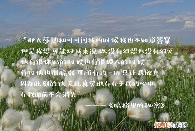 暗格里的秘密彼方尚有荣光在