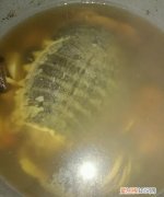 怎么炖甲鱼汤好喝，炖甲鱼汤需要什么材料