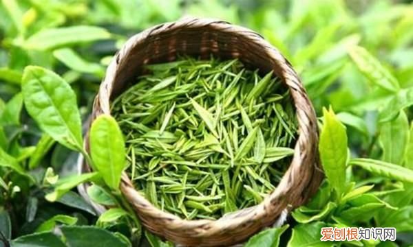 刺梨酒行业标准，泡刺梨酒可以加白砂糖