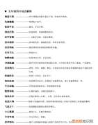 类似5字的成语典故等