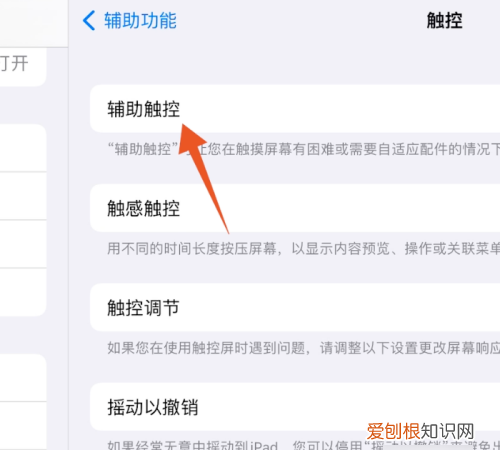 ipad如何调出小圆点图标，ipad的小圆点怎么能调出来