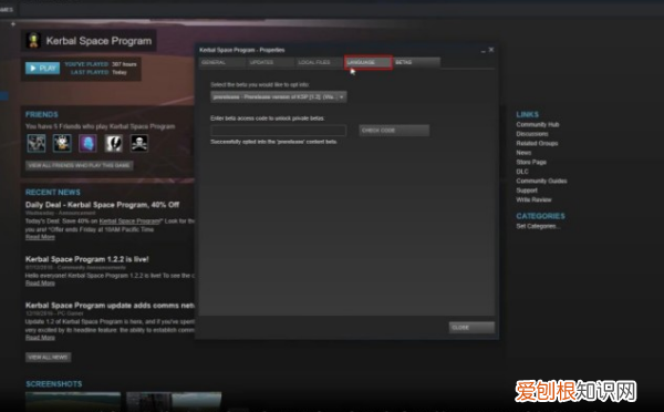 太空杀怎么设置中文，ns太空狼人现在有中文吗