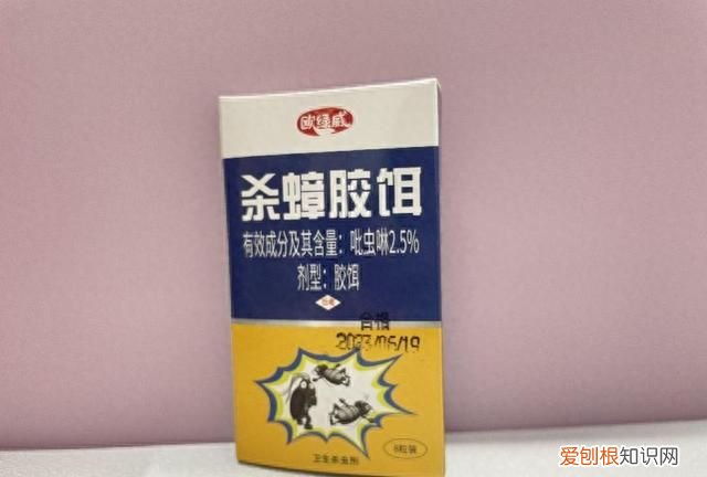 一招教你搞定蟑螂 蟑螂怎么出现在家里面的