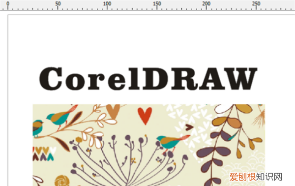 CDr怎么安装，cdr要怎么样才可以插入