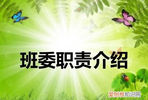 班干部的作用,班委的作用和意义