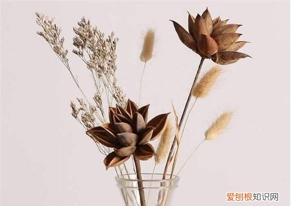 鲜花变干花方法 鲜花怎么变干花的方法