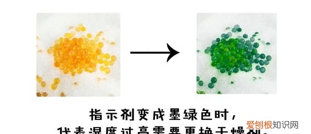 鲜花变干花方法 鲜花怎么变干花的方法