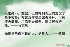 描绘网恋的格言，qq名言名句大全霸气