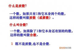 两个质数的积不一定是什么数，两个不同质数的积有几个因数