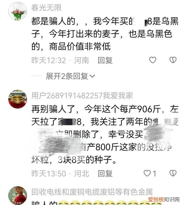 黄淮地区小麦什么品种最高产