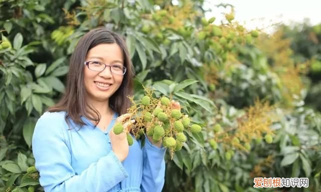 荔枝如何挑选最好的