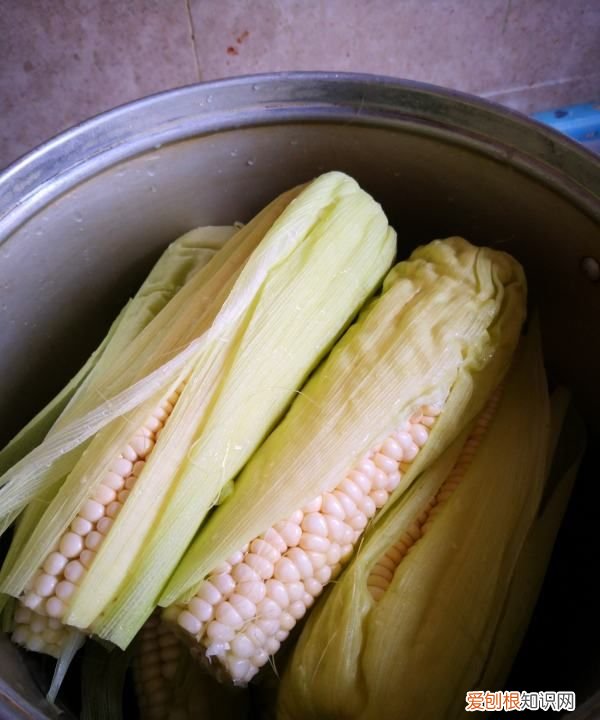 怎样煮玉米又甜又粘稠，煮玉米怎么才能更加软糯