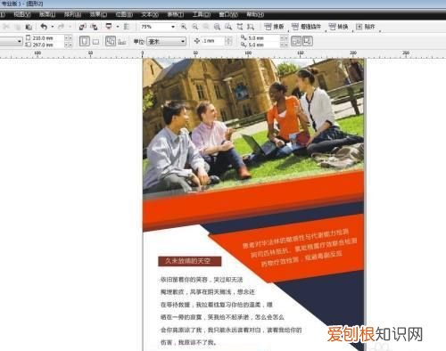 cdr咋的才可以排版,cdr怎么排版多张图片