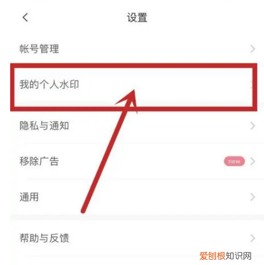 由iphone拍摄水印怎么弄，苹果手机如何给照片加水印