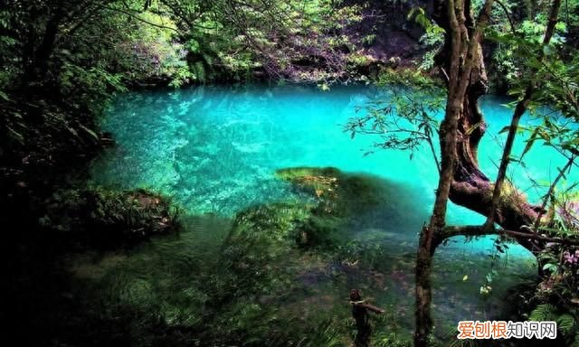 凤翥鸾翔的上联